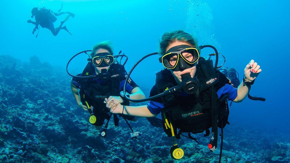 Diving Turu